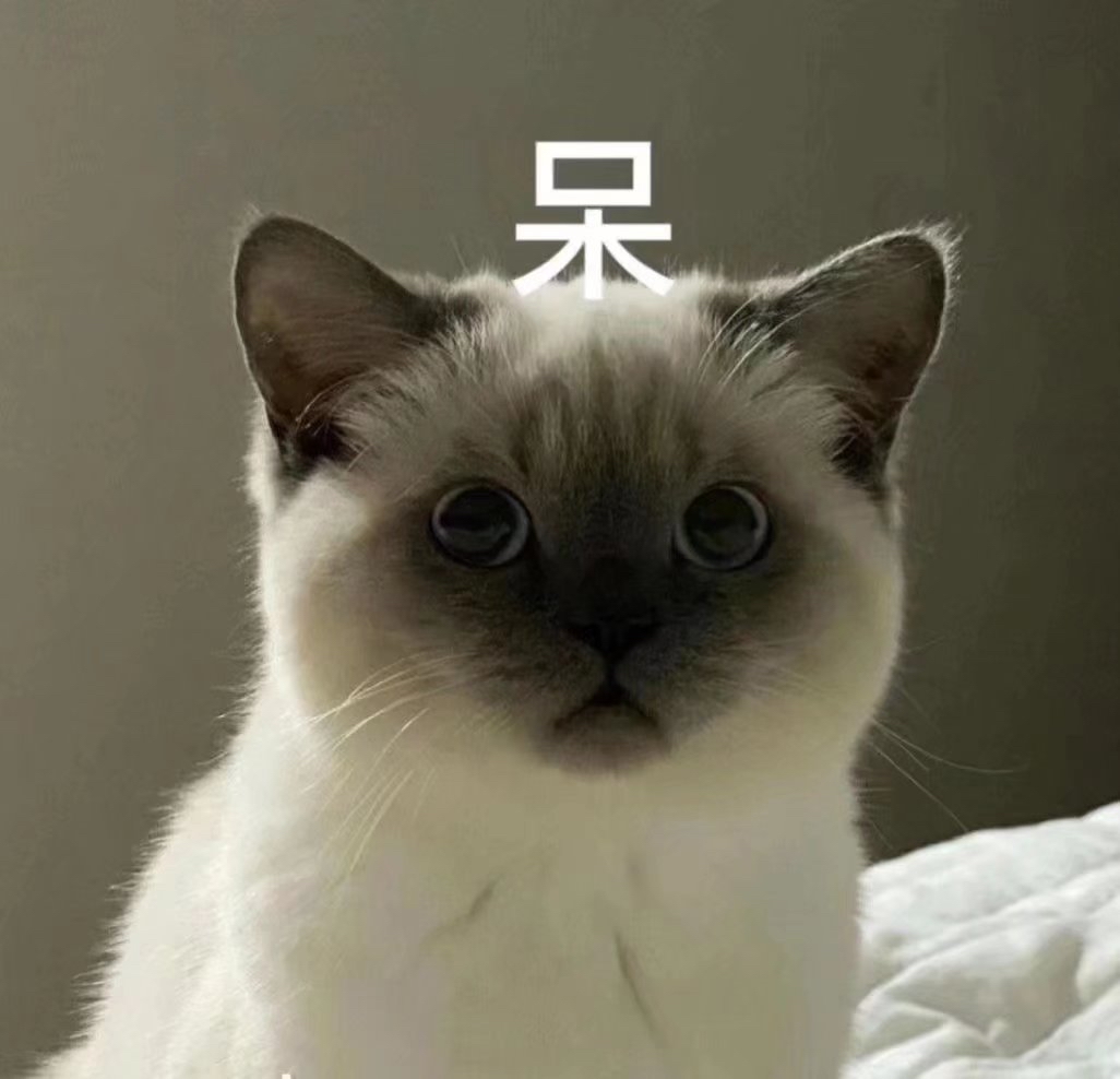 Aston Jin